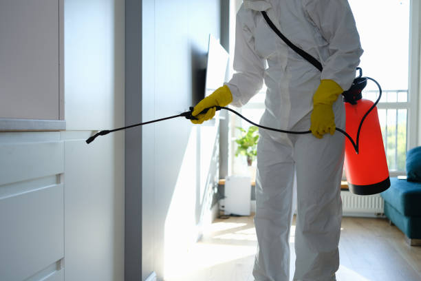 Best Mold Testing  in Saratoga Springs, NY