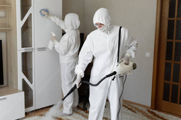 Best Mold Damage Repair  in Saratoga Springs, NY