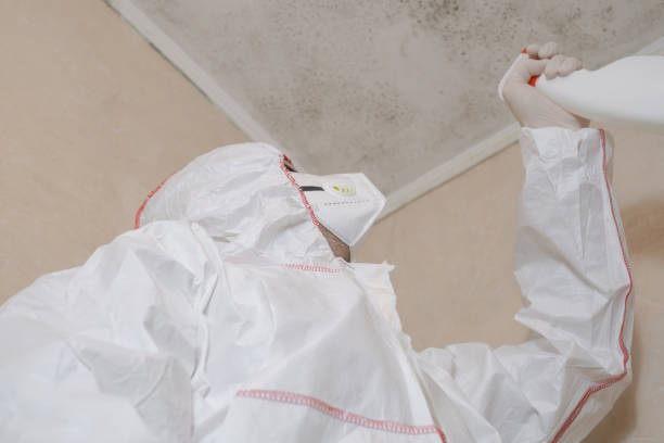 Best Black Mold Removal  in Saratoga Springs, NY