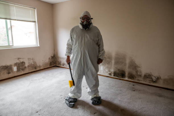Best Mold Cleaning Services  in Saratoga Springs, NY