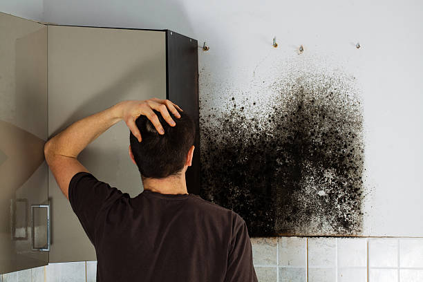 Best Commercial Mold Removal  in Saratoga Springs, NY
